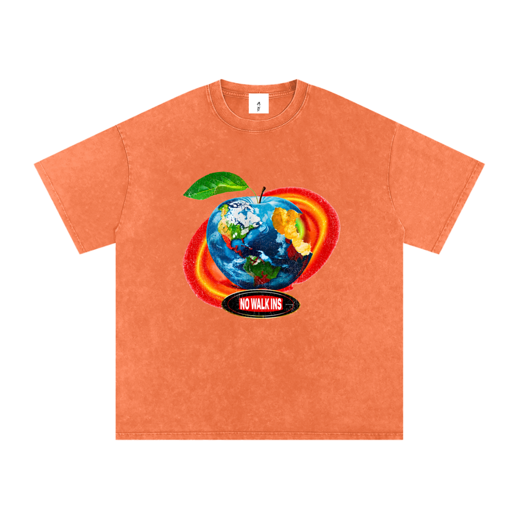 Snow Washed Oversized Cotton T-Shirt